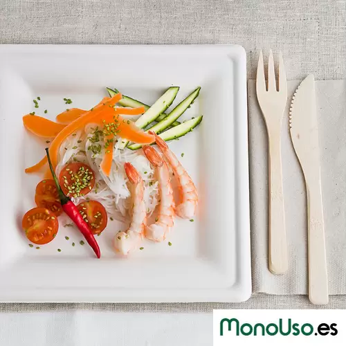 plato-ecologico-monouso