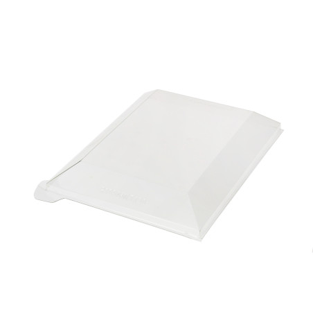 Tapa de Plástico PET 38x27,4cm (50 Uds)