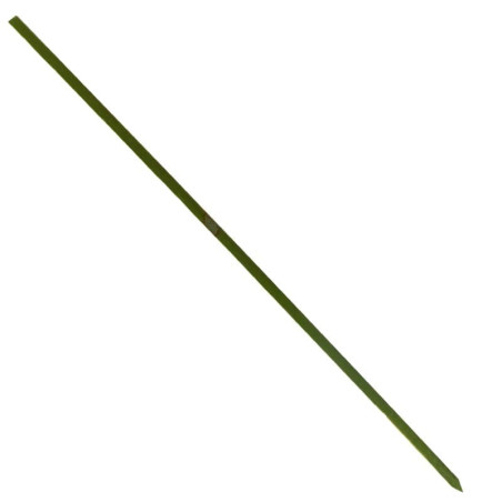 Pinchos de Bambú Natural 15cm (200 Uds)