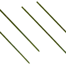 Pinchos de Bambu Verde Natural 150mm (200 Uds)