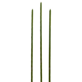 Pinchos de Bambu Verde Natural 200mm (5000 Uds)