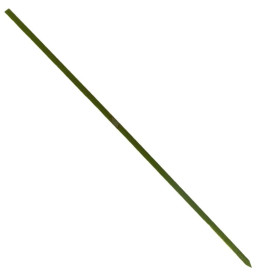 Pinchos de Bambu Verde Natural 250mm (200 Uds)
