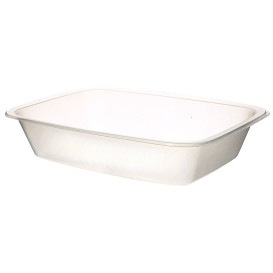 Bandeja Termosellable PP Gastronorm 154x110x35mm (750 Uds)