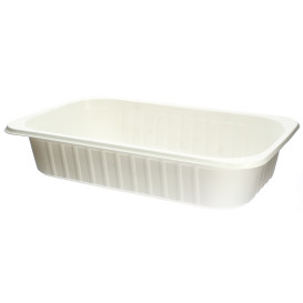 Bandeja Termosellable PP Gastronorm 240x136x50mm (250 Uds)