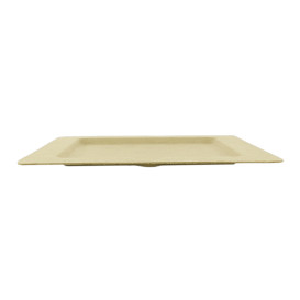 Plato Hendidura Caña de Azucar Natural 20cm (200 Uds)