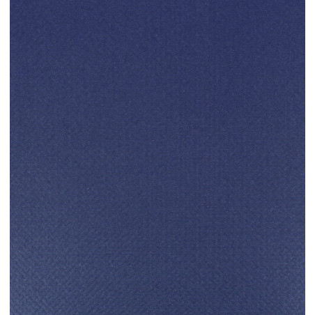 Mantel de papel Rollo Azul 1x100m. 40g (6 Uds)