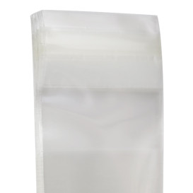 Bolsas de Plástico Biorientado con Solapa Adhesiva 4x6 cm G-160 (1000 Uds)