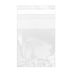 Bolsas de Plástico Biorientado con Solapa Adhesiva 5,5x5,5 cm G-160 (1000 Uds)