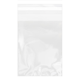 Bolsas de Plástico Biorientado con Solapa Adhesiva 15x22 cm G-160 (1000 Uds)