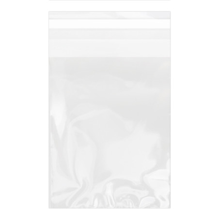 Bolsas de Plástico Biorientado con Solapa Adhesiva 15x22 cm G-160 (1000 Uds)