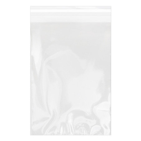 Bolsas de Plástico Biorientado con Solapa Adhesiva 20x30 cm G-160 (1000 Uds)