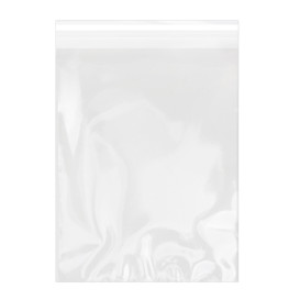 Bolsas de Plástico Biorientado con Solapa Adhesiva 22x32 cm G-160 (100 Uds)