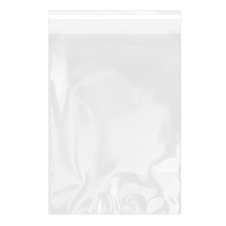 Bolsas de Plástico Biorientado con Solapa Adhesiva 25x35 cm G-160 (100 Uds)