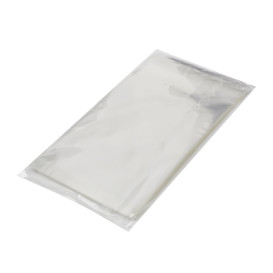 Bolsas de Plástico Biorientado con Solapa Adhesiva 10x15 cm G-160 (100 Uds)