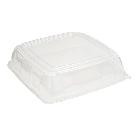 Tapa Plástico PET Transparente Bandeja 31x31cm (5 Uds)