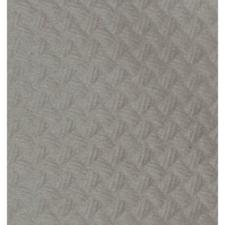 Mantel de Papel Rollo Gris 1x100m 40g (1 Ud)