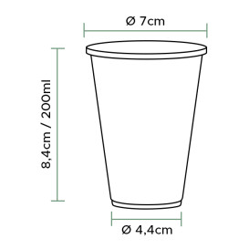 Vaso de Plástico PP Transparente 200ml (100 Uds)