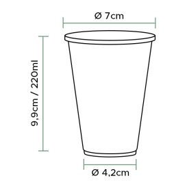 Vaso de Plástico PP Transparente 220ml (100 Uds)
