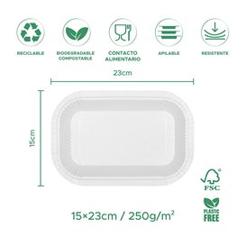 Bandeja de Cartón Antigrasa Blanco 15x23cm 250g/m² (750 Uds)