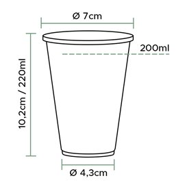 Vaso de Plástico PP Blanco 220ml (100 Uds)