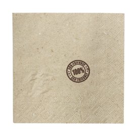 Servilleta Cocktail de Papel Eco con Cenefa 20x20cm 2C (100 Uds)