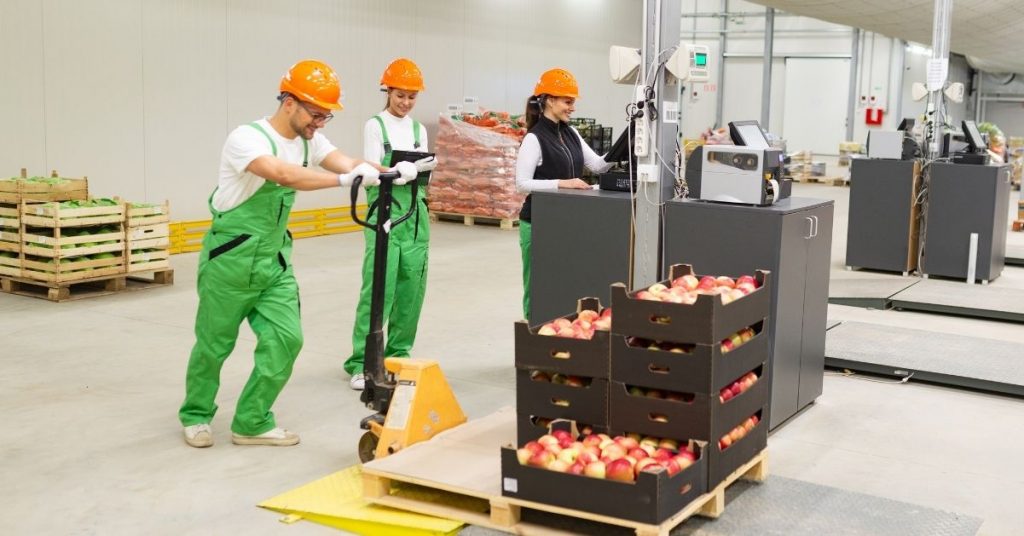 Concepto de trazabilidad alimentaria