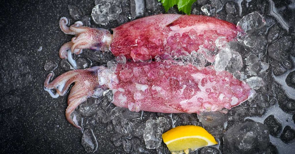 Secretos para una regeneración y conservación de alimentos eficaz