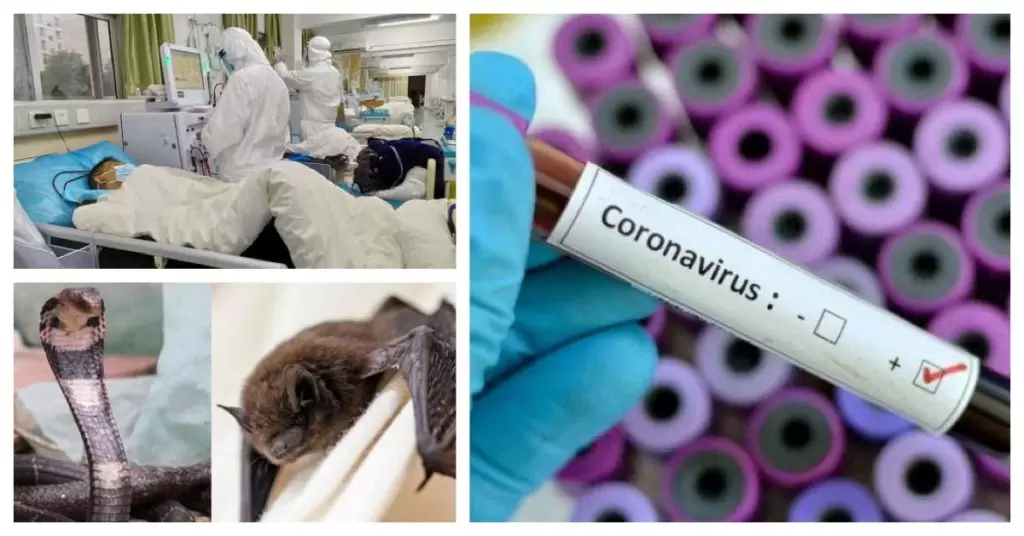 Causas del coronavirus