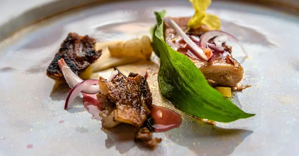 Plato de cocina de fusión