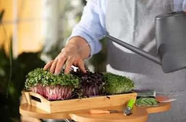 El auge de la cocina sostenible y su impacto en la hostelería