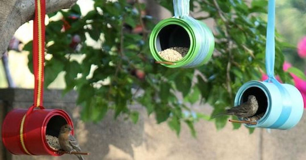 Comedero especial para aves