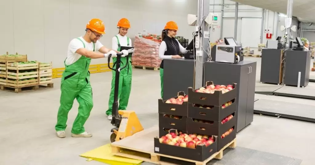 Concepto de trazabilidad alimentaria