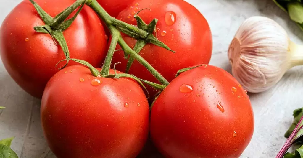 Envases para salsas de calidad