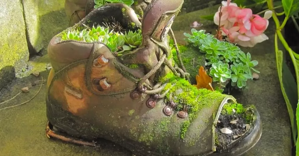 Macetas con zapatos