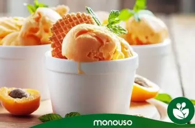 Mejores productos para heladería 2022 Monouso