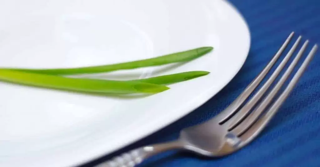 Platos perfectos para la decoración de comidas gourmet