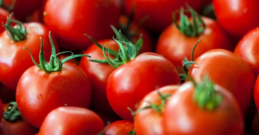 Preparar tomates para que su sabor se sienta