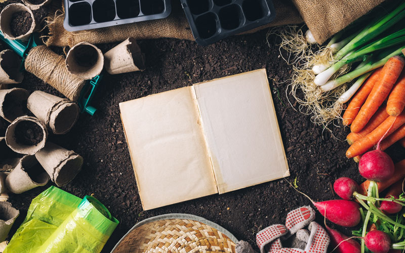 Productos biodegradables