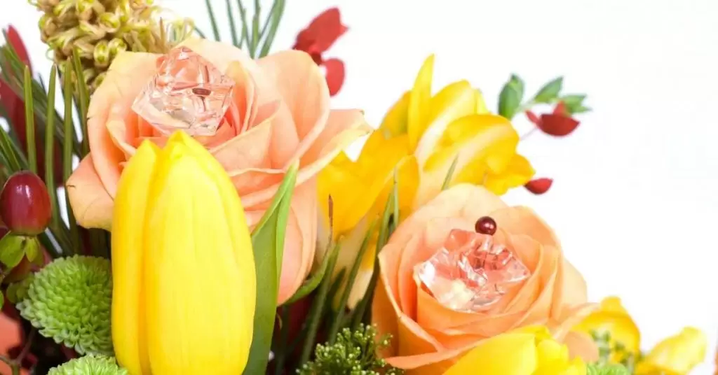 ¿Te preocupa tu estilo? Ideas de plantas para comedor