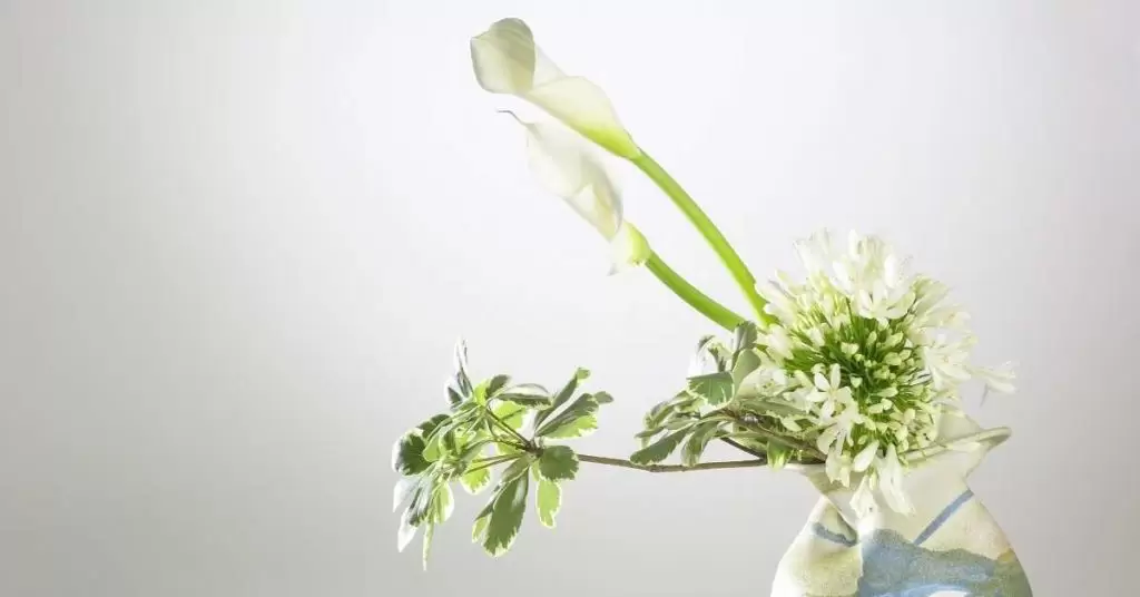 Utilidad de las flores preservadas para bares con plantas