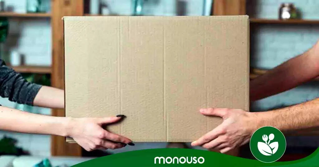 automatizacion-pedidos-portada