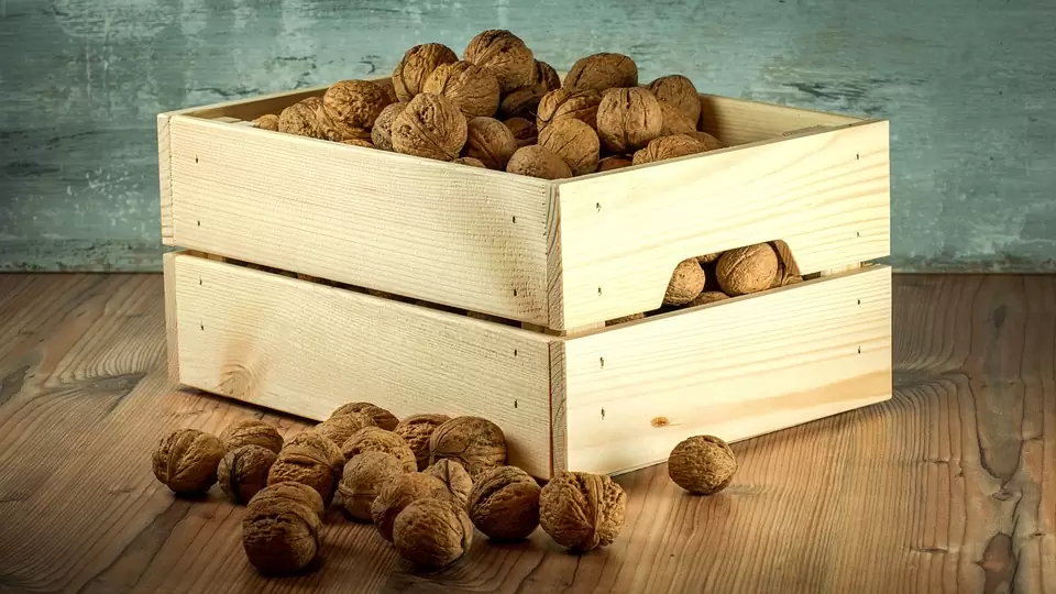 cajas de comida para llevar resistente