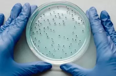 Novedades en la detección de Legionella en bares y restaurantes