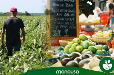 ¿Elegirías alimentos de origen local para tu restaurante?