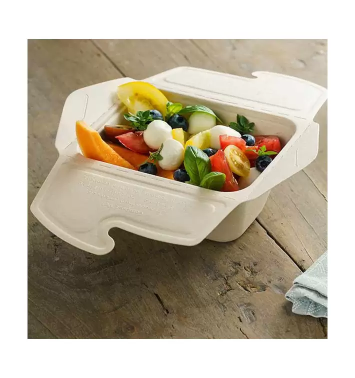 Menubox caña de azúcar con comida