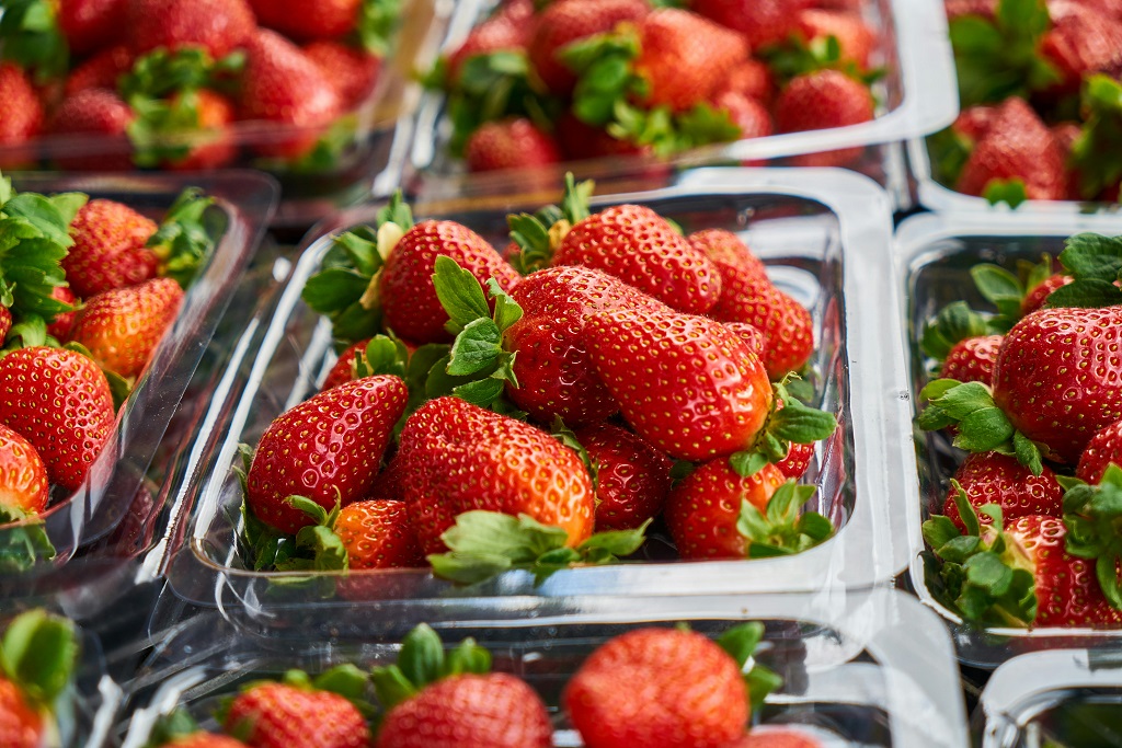 Envases para comida fría de delivery