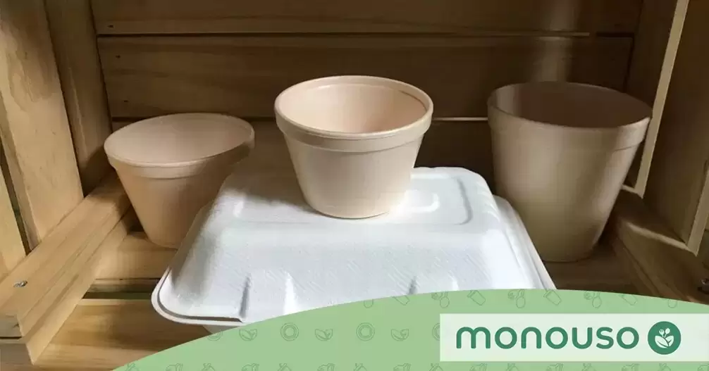 envases alimentarios de foam