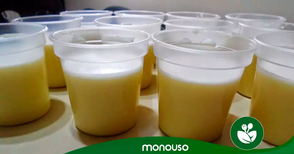 flan-vasos-plastico-portada