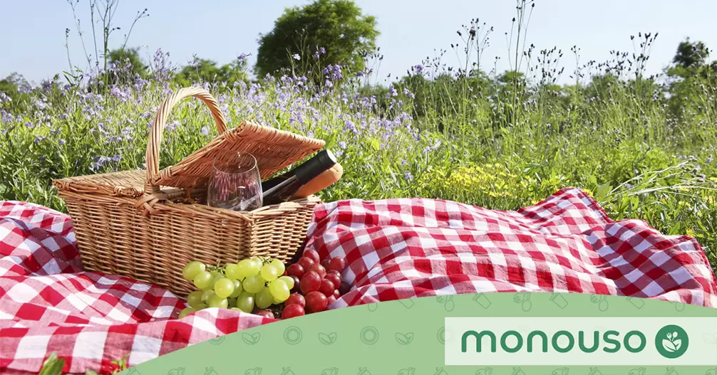 Picnic con vajilla no contaminante