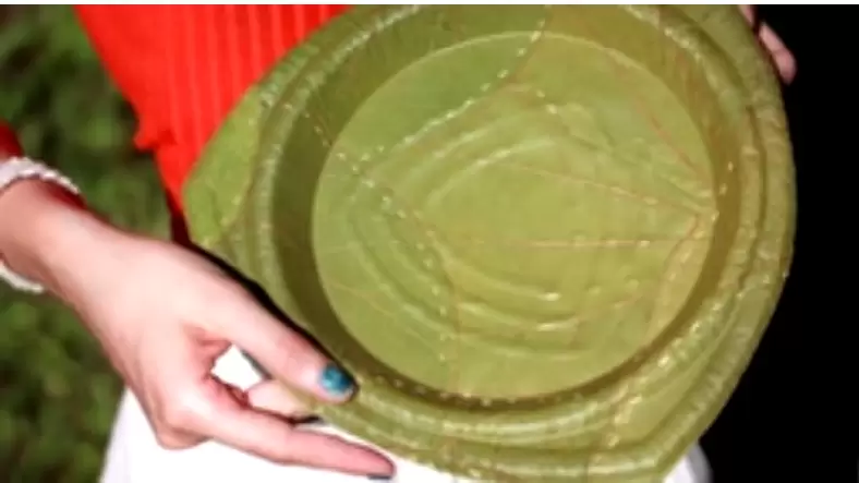 platos-hechos-de-hojas-verdes-biodegradables